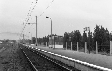 RB-0580 - Bokzelaar - 1972.06.02 - Roger BASTAENS M35 372.jpg